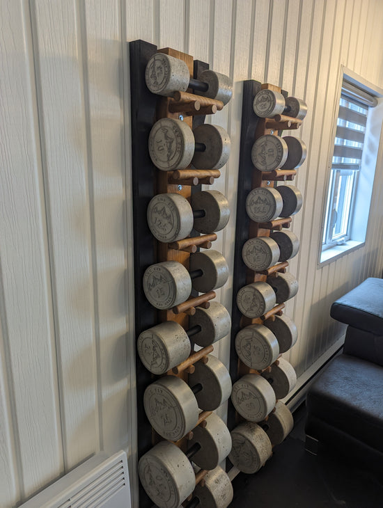 Wall-Mounted Dumbbell Rack